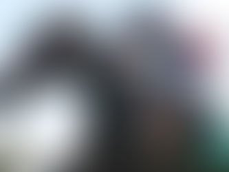 Gunstock set for Flemington return