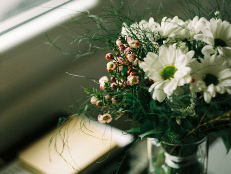 Bienvenue sur le blog de Valeurs de Vie !