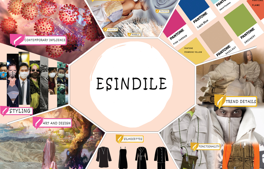 collection concept map.png