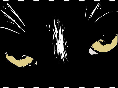 PhotoFilmStrip  Crack  [Latest 2022]