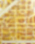 04 Codam xhb 04 autumn 80x100-750.jpg