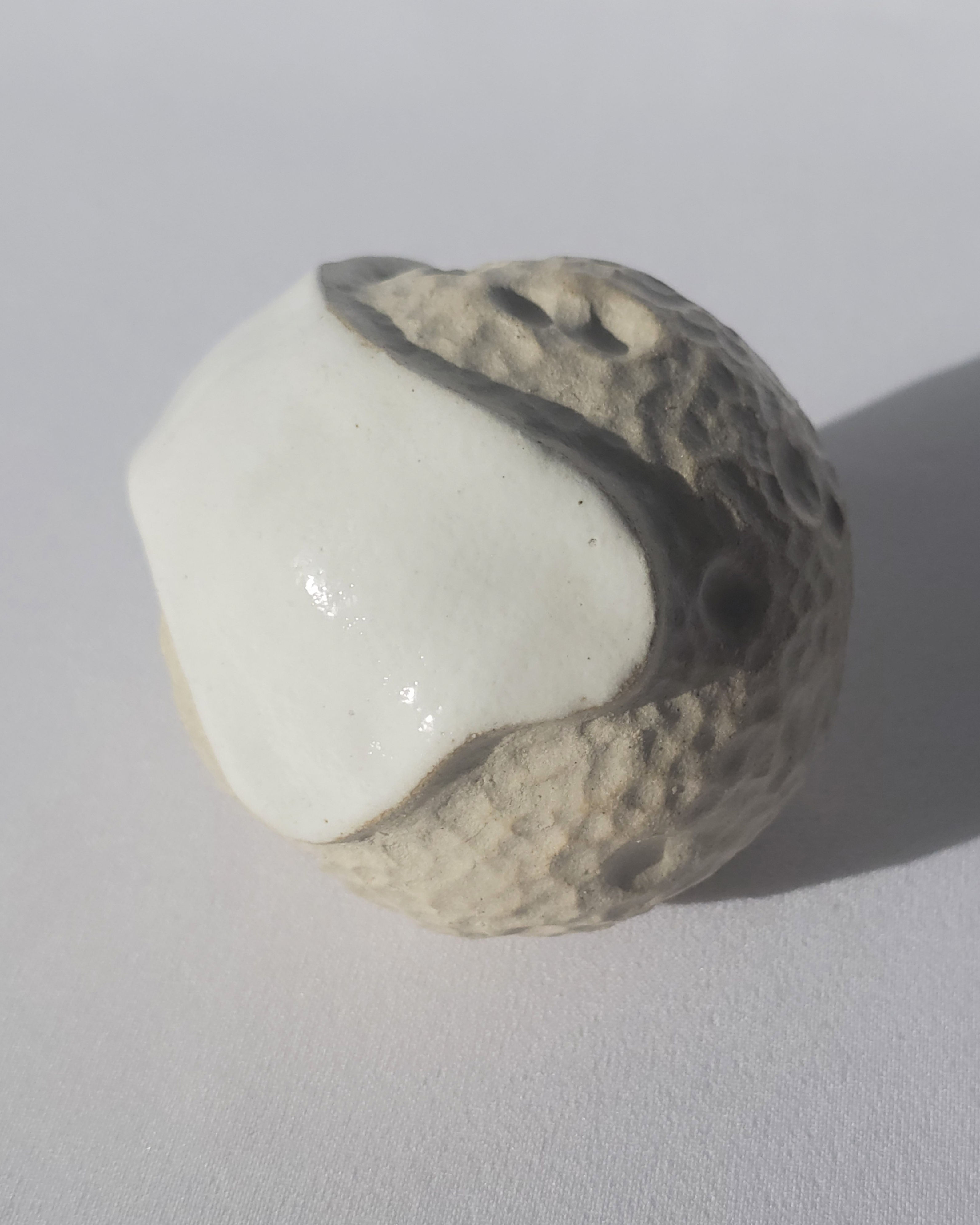 Hemochrome White Blood Cell 4