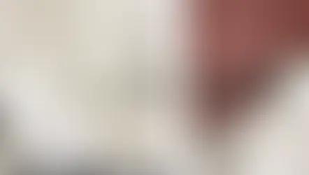 How to Give Your Guest Room a Fresh Look Before Christmas: Paint Tips for a Festive Finish