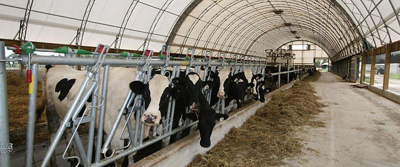 Van_Rooyan_Farms_-_62'_x_200'_Cover-All_with_attached_62'_x_156'_Atlas_(9).jpg