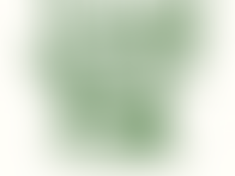 A pot of herbs in winter