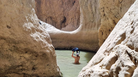 עזגד אשלים- מסלול מדברי מעגלי רטוב רגע לפני השרב הגדול