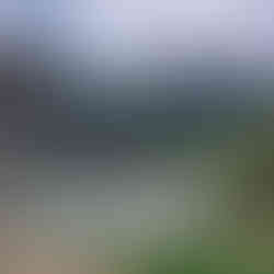 העין הכחולה נחל גוש חלב