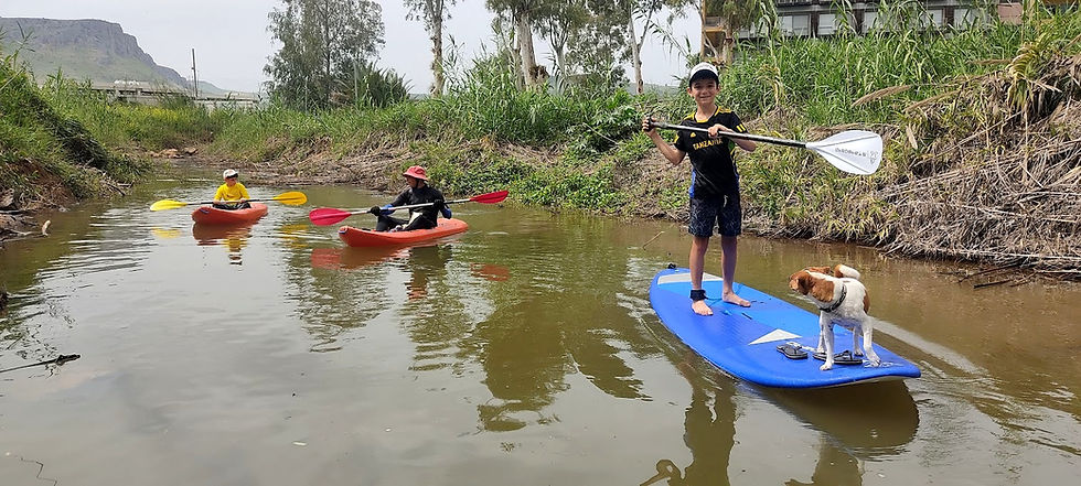 חתירה משפחתית עצמאית בסאפ וקיאק בנחל צלמון, בשפך בגינוסר