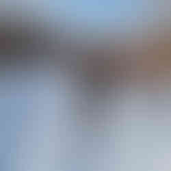 טיול שלג לאורך נהר ביאלקה BIALKA בין עצי השלכת