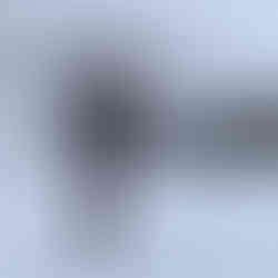 אוהד במרכז אגם MORSKIE OKO פולין