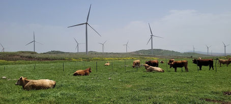 שביל הגולן, מצפון לדרום, כולל טיפוס לחרמון עם ילדים