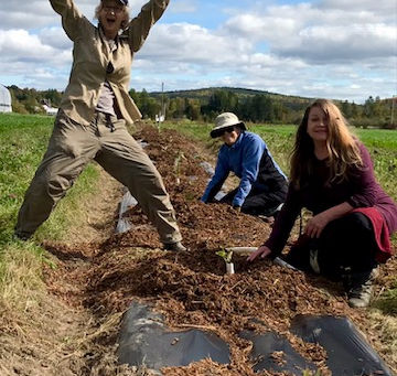 Happy Thanksgiving from the farm!