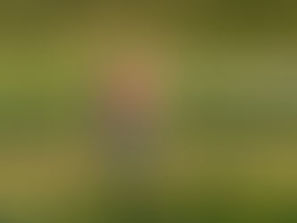 CSA Week 5: The week all the things broke