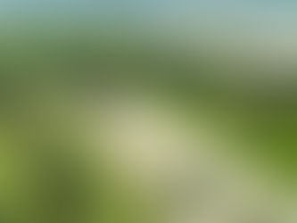 2018 Season Wrapup
