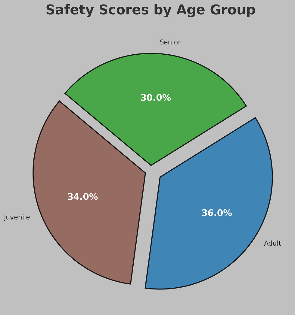 Safety Scores By Age Group