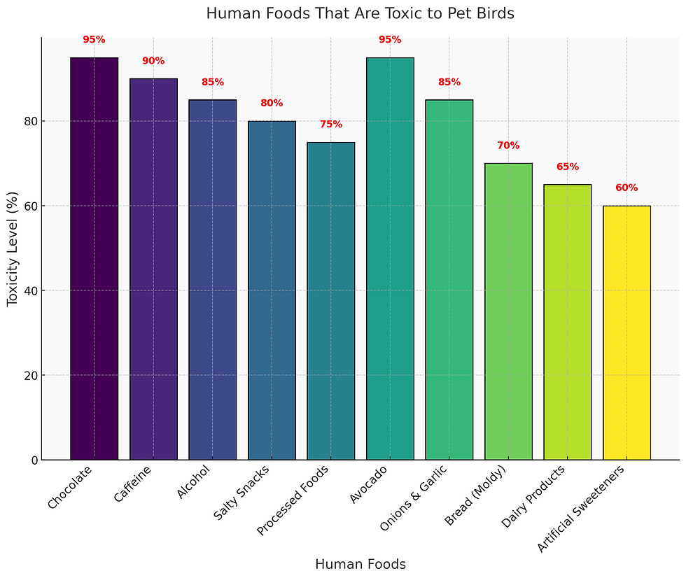 Human Foods That Are Toxic To Pet Birds