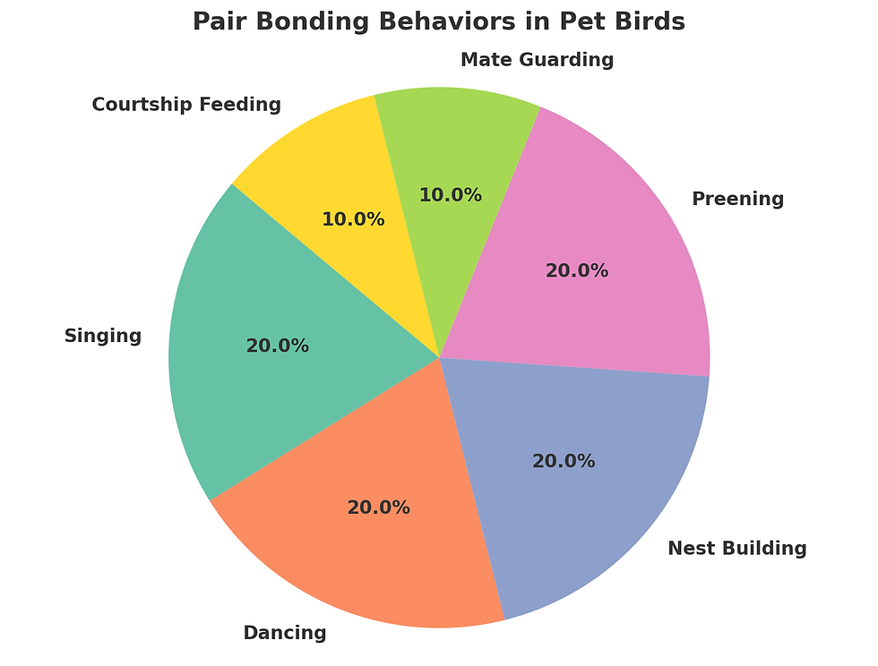 Pair Bonding Behaviors In Pet Birds