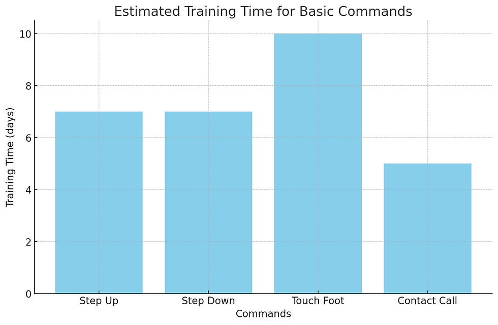 Estimated Training Time for Basic Commands
