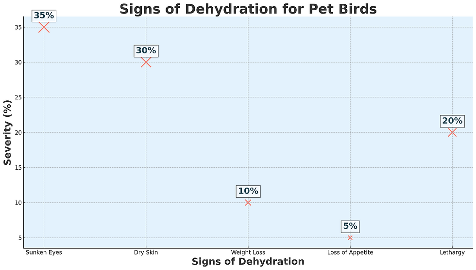 Signs Of Dehydration For Pet Birds