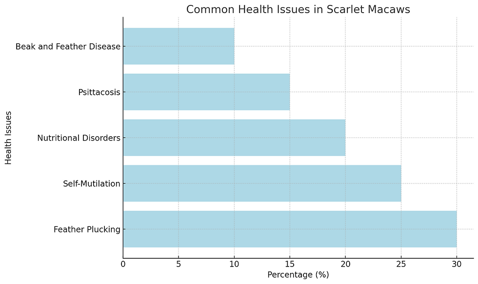 Common Health Issues in Scarlet Macaws
