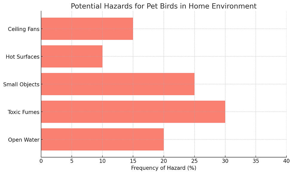 Potential Hazards for Pet Birds in Home Environment
