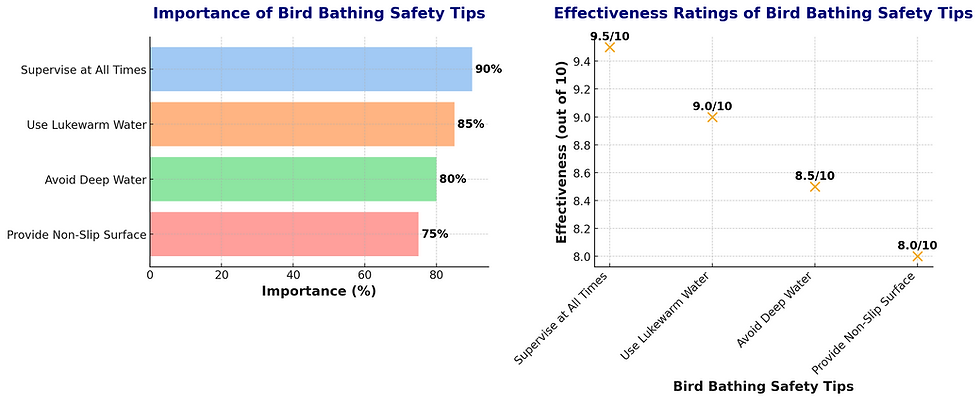Bird Bathing Safety Tips