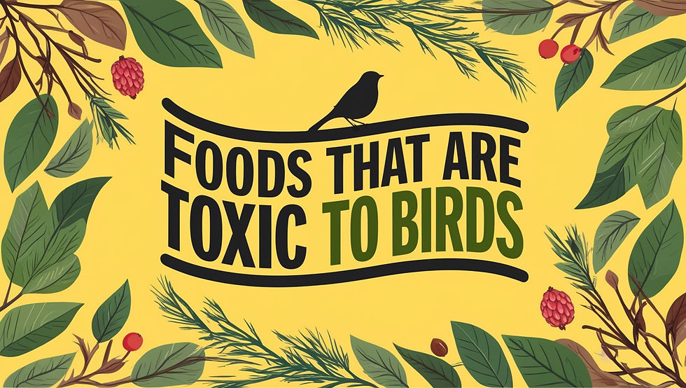 Foods that are toxic to birds