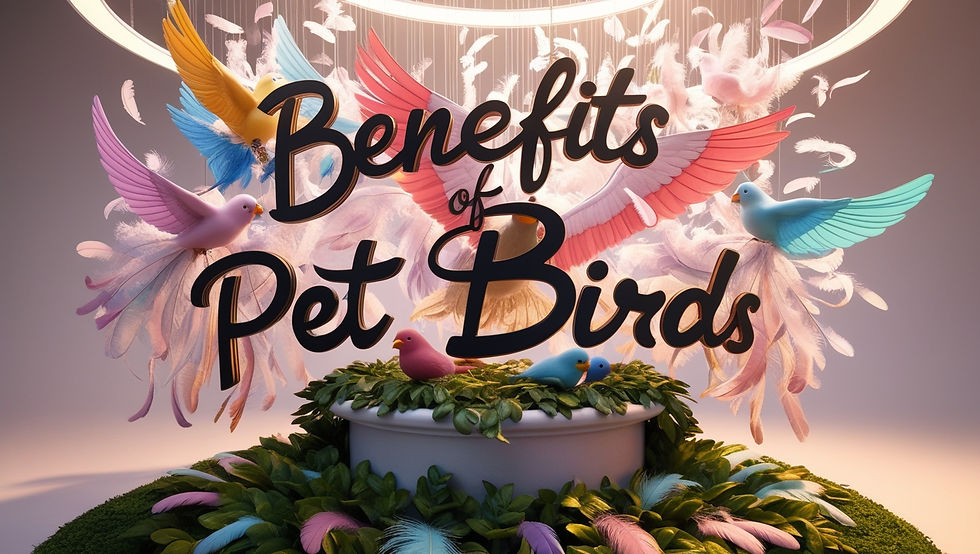 Benefits of Pet Birds