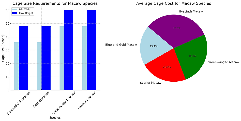 Average Cage Cost For Macaw Species