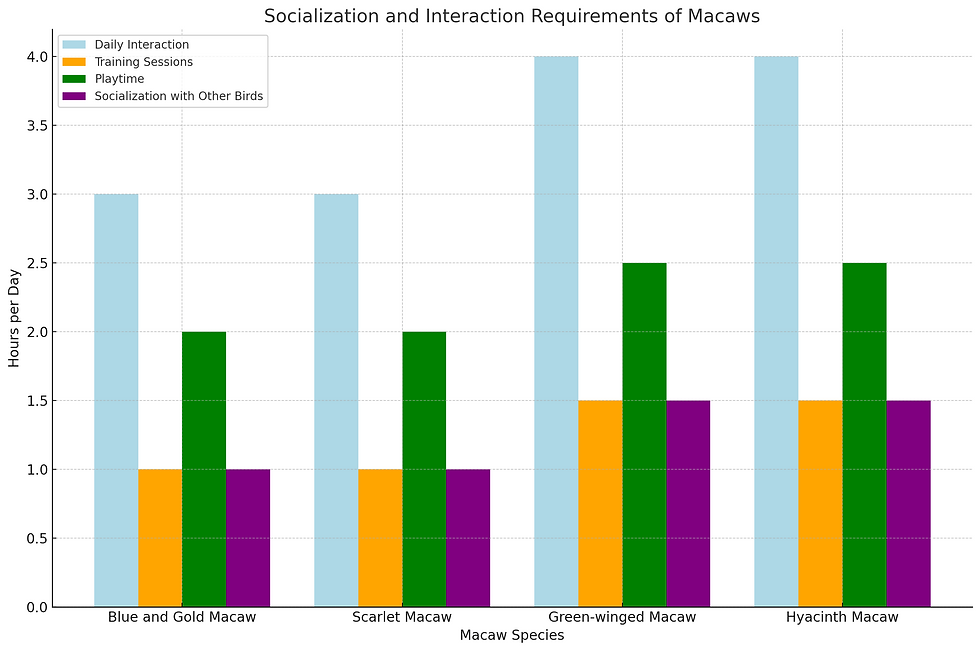 Socialization And Interaction Requirements Of Macaws