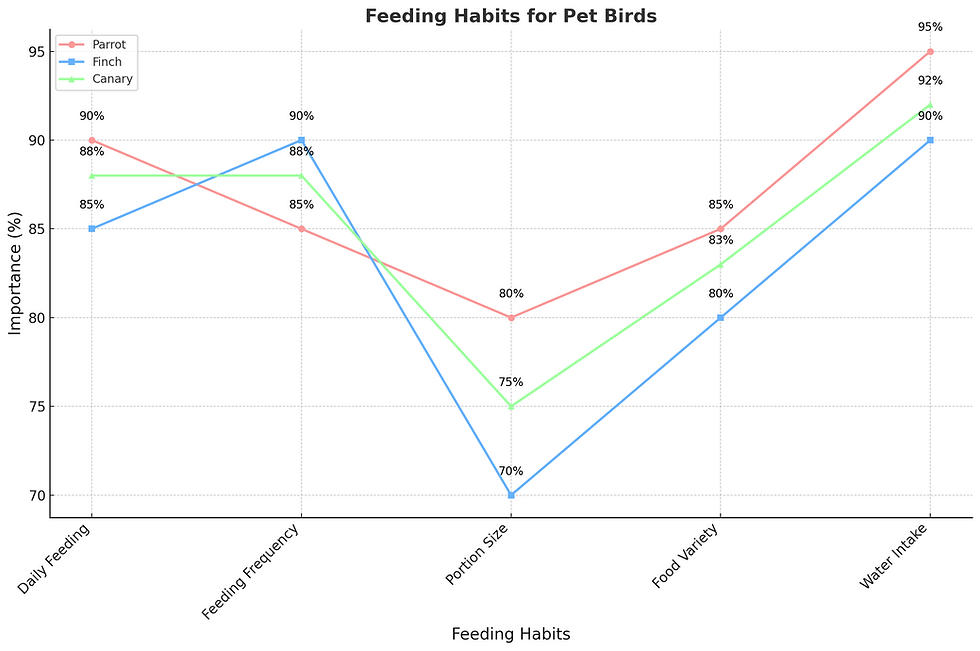 Feeding Habits For Pet Birds