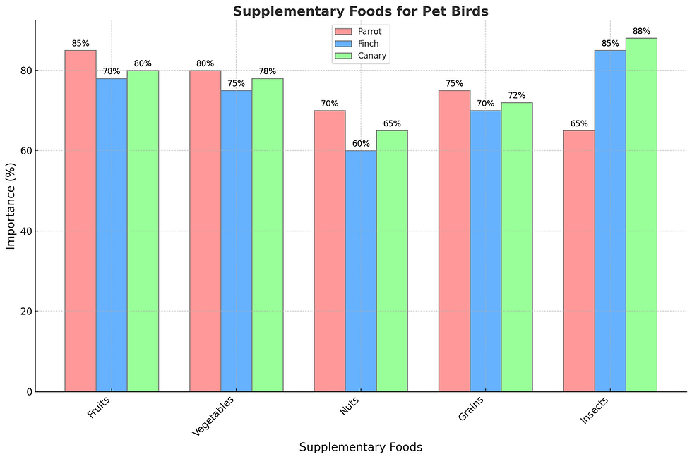 Supplementary Foods For Pet Birds