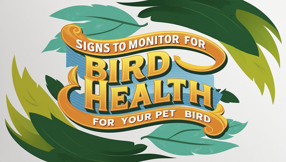 Signs to monitor for bird health