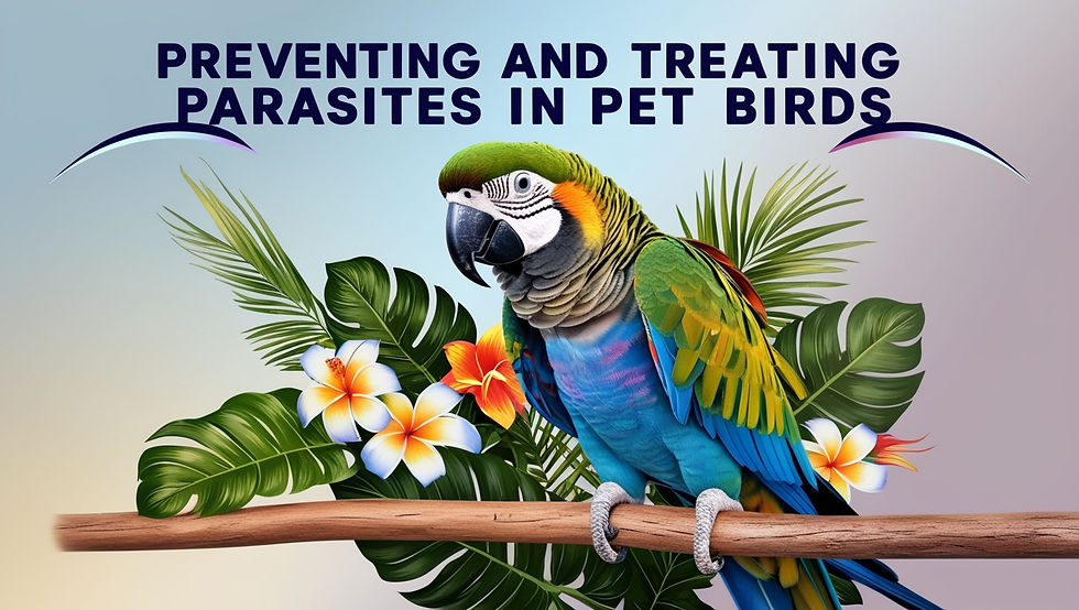 Preventing and treating parasites in birds