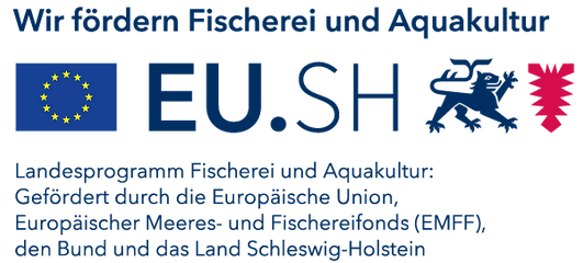 sh_eulogo_emff_2.png