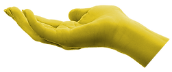 Header_Hand_edited.png