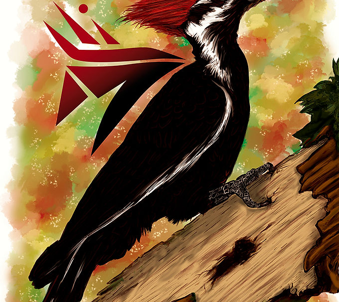Woodpecker_F_edited.jpg