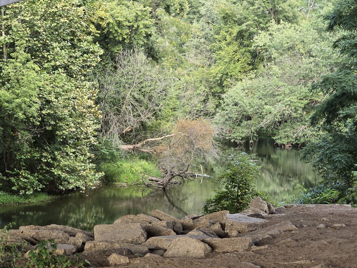 A pretty spot by a river where we paused and turned back.