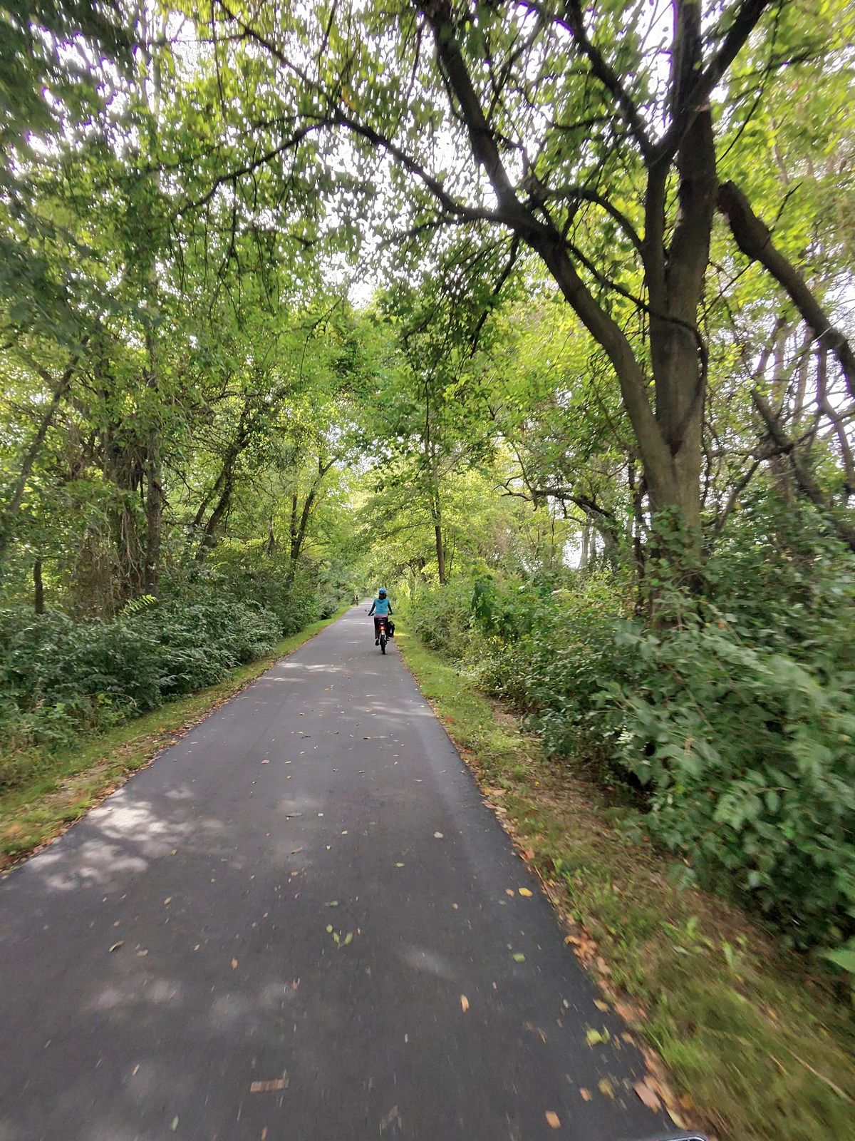 09-14-2026_pumpkinvine_trail_in_meta_010.jpg