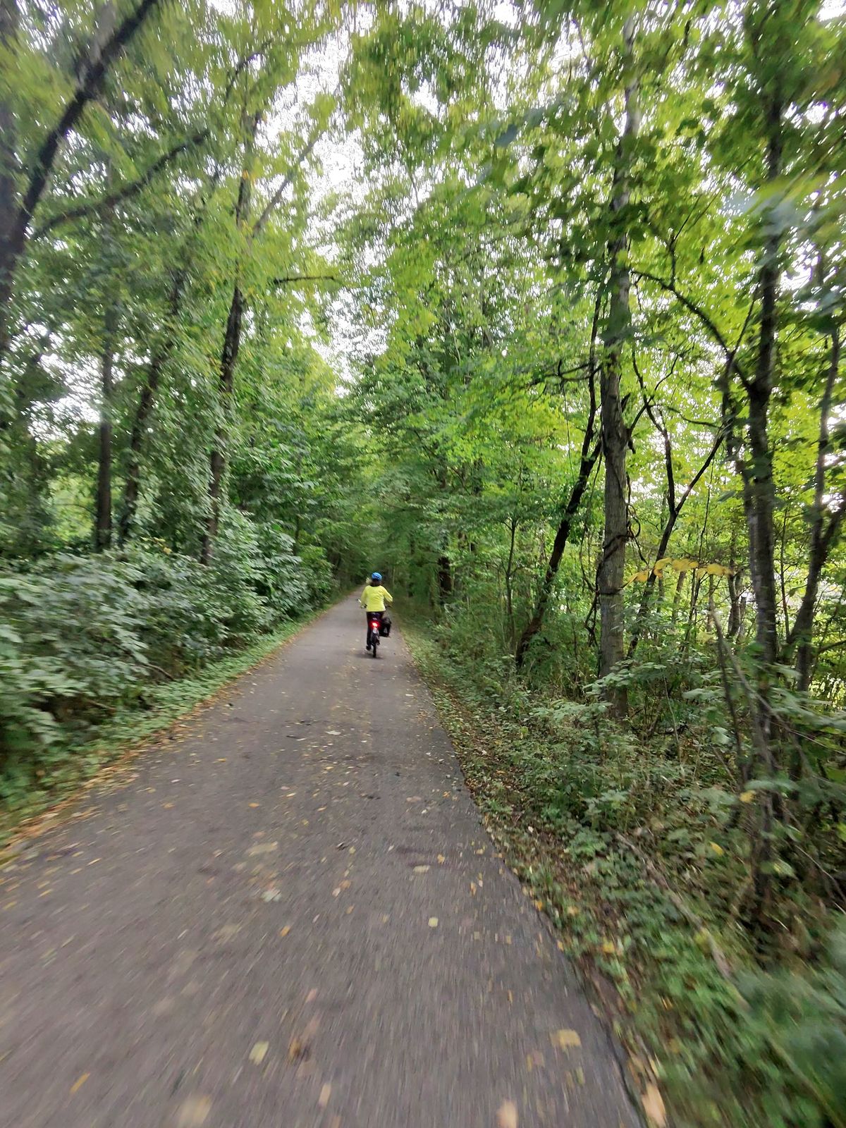 09-14-2026_pumpkinvine_trail_in_meta_017.jpg