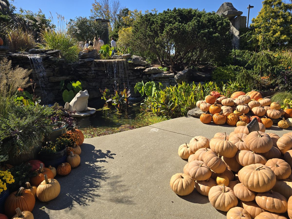 The winery was all decorated for fall.
