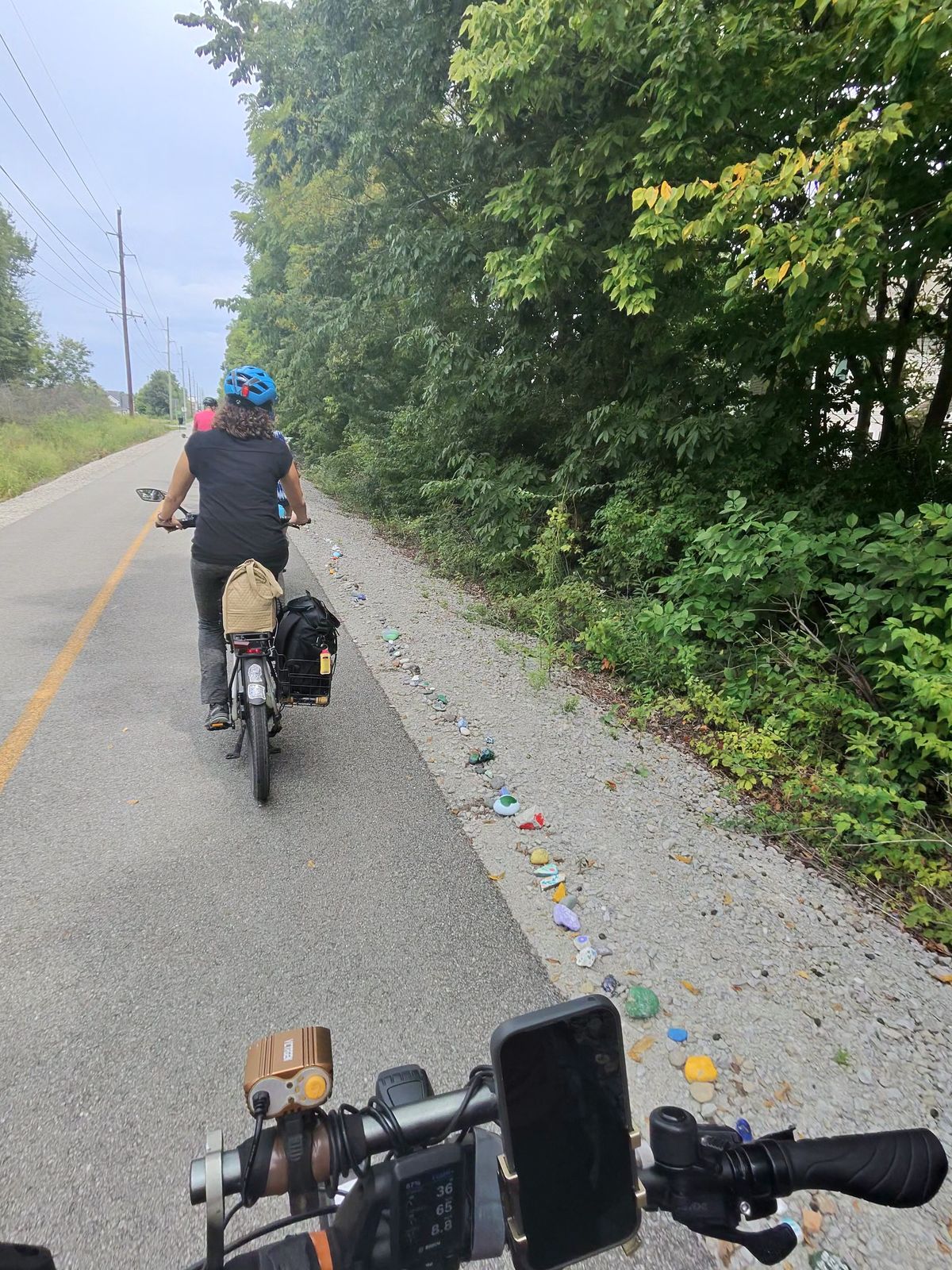 There was a long collection of painted rocks