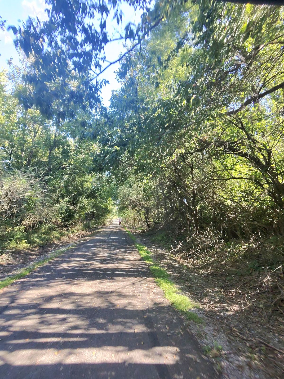There was a lot of forested sections on the trail.