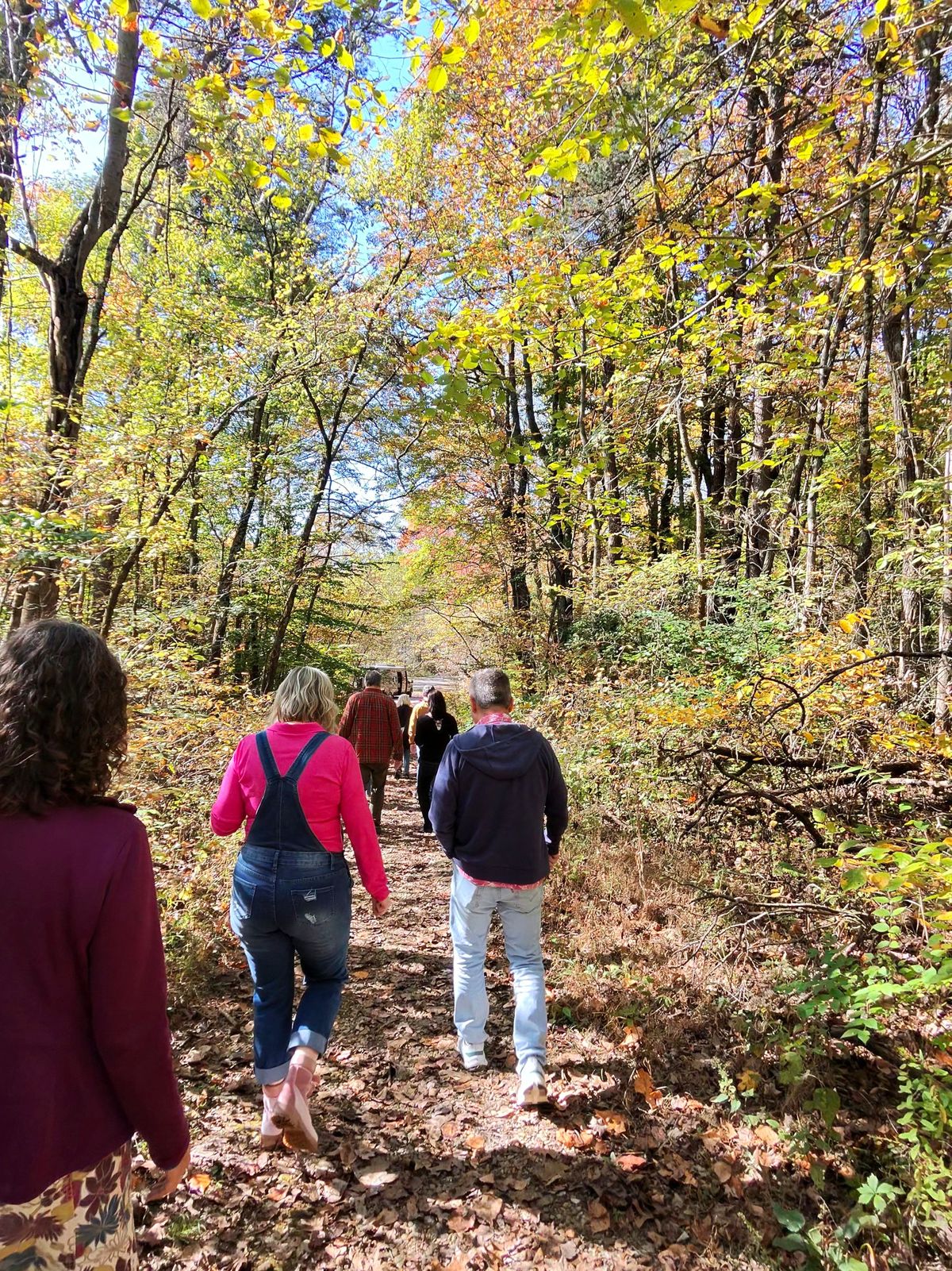 Walking the leaf-covered trail beneath the autumn trees.