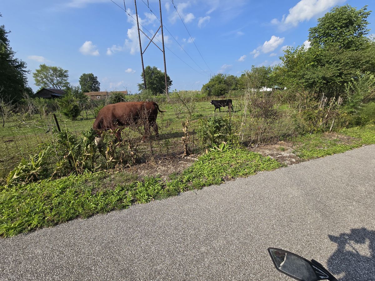 Grant County In on the Cardinal Trail ride