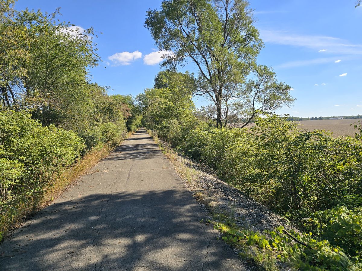 The trail mixed between this kind of views and forest canopy. The trees are just starting to turn.