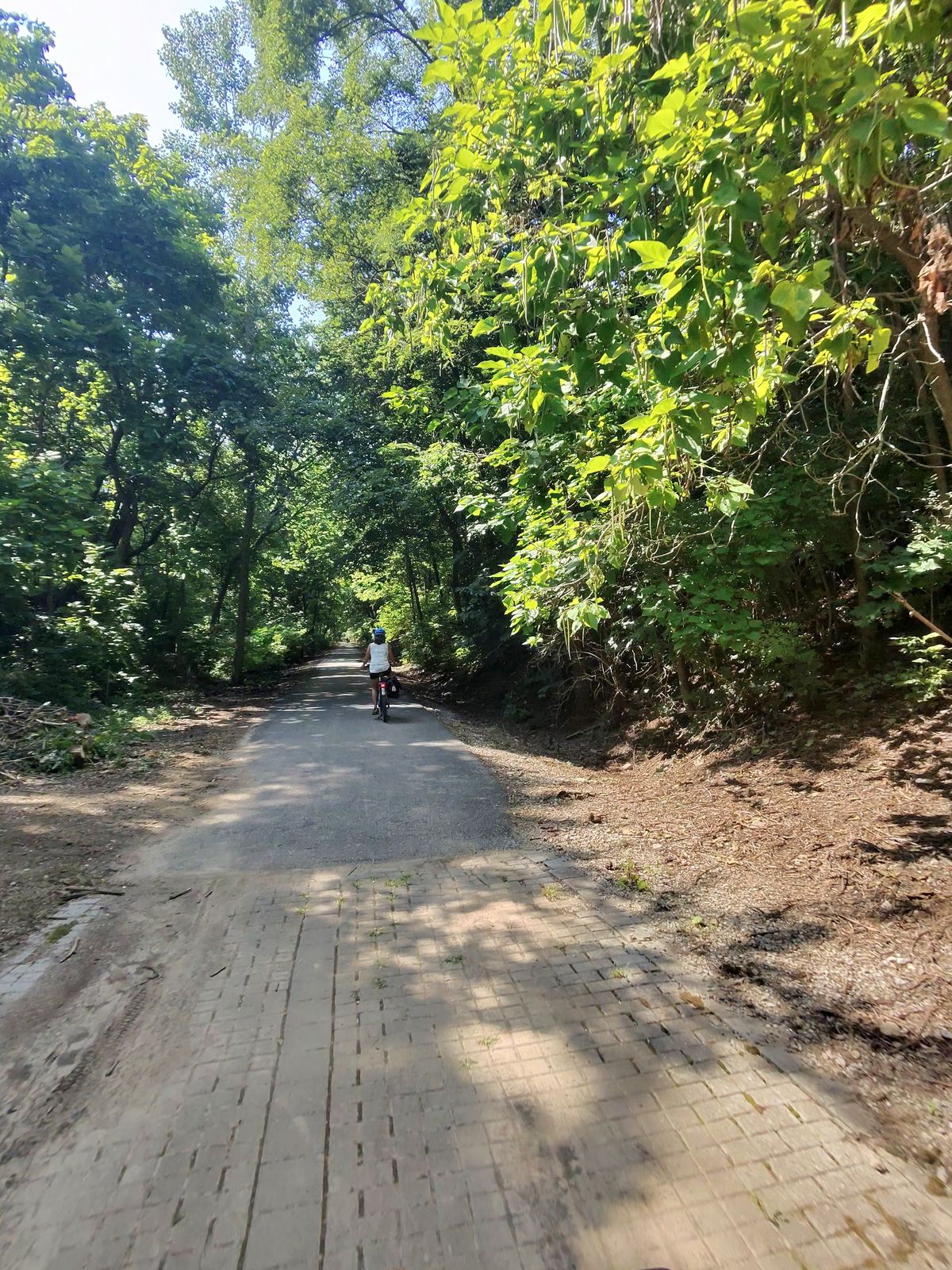 Marion In on the Cardinal Trail ride