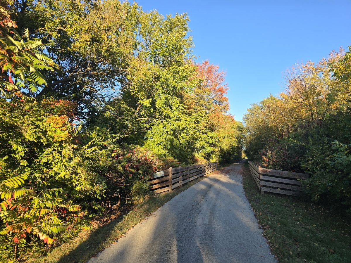 Fall color frames the trail as it crosses a small bridge.