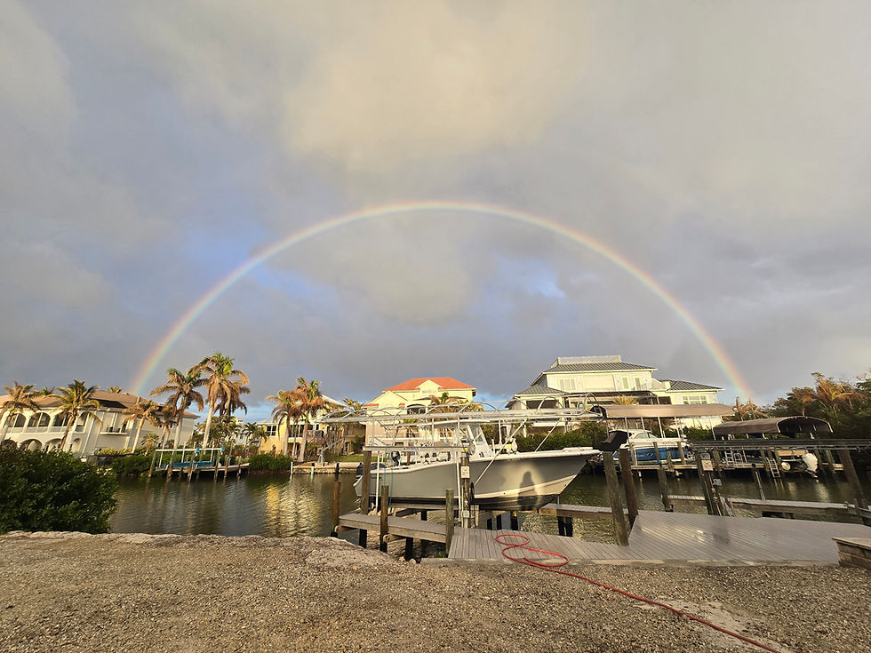 Saturday ended up being a grey, rainy day, although we were rewarded with this beautiful full rainbow when the drizzling rain finally finished. You've got to love that!