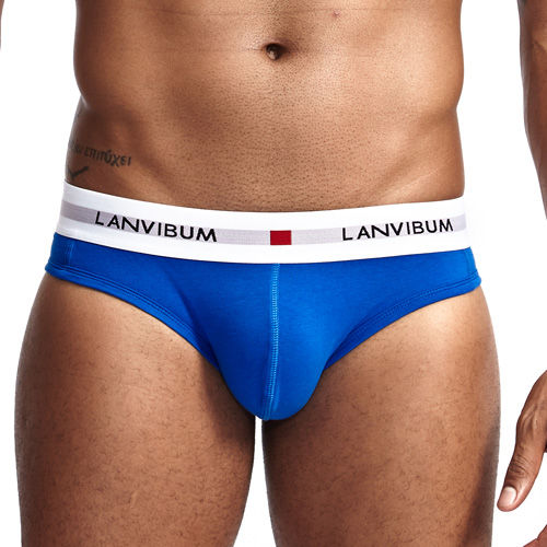 Thumbnail: New Sexy Men Cotton Underwear Breathable Mens Briefs Underpants Comfortable Gay 